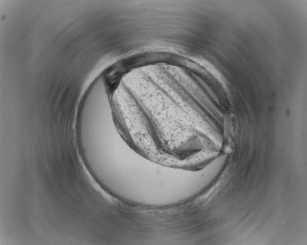 X0000061760902200512231548