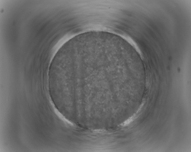 X0000061760903200512231548