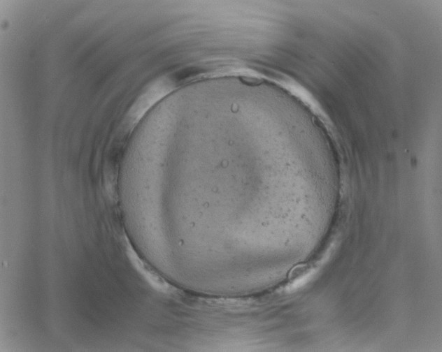 X0000061760905200512231548