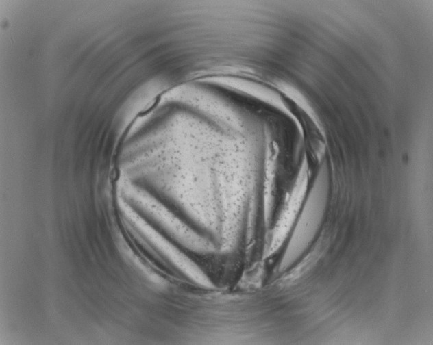 X0000061760906200512231548