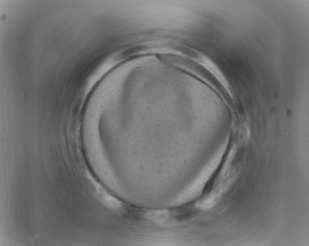 X0000061760909200512231548