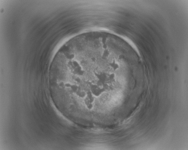 X0000061760911200512231548