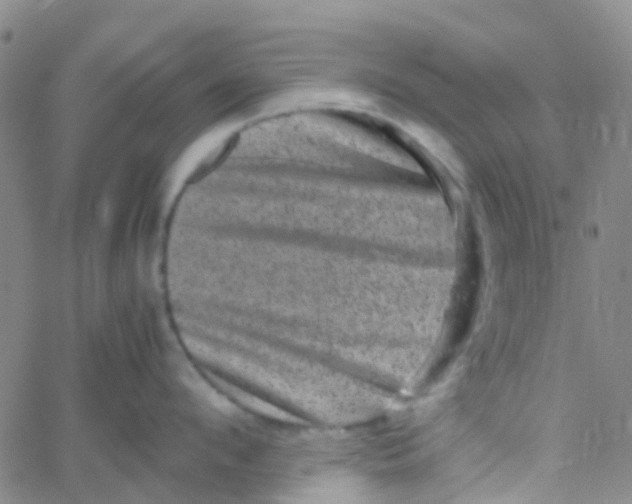 X0000061760912200512231548