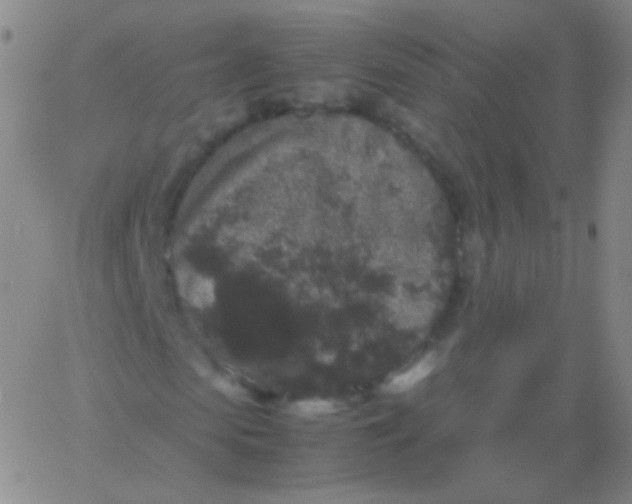 X0000061760913200512231547