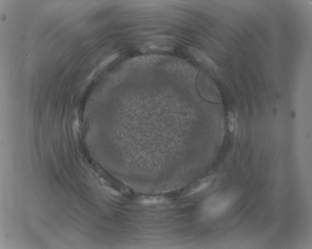 X0000061760915200512231547