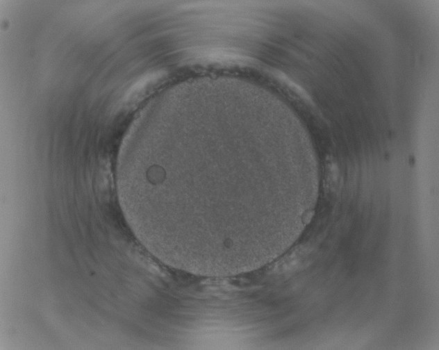 X0000061760918200512231547