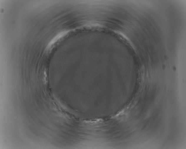 X0000061760919200512231547