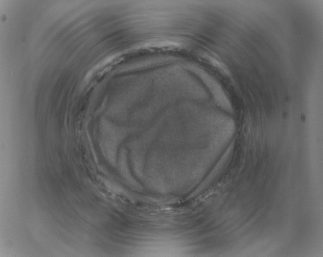 X0000061760920200512231547