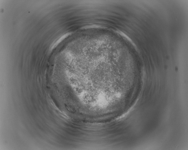 X0000061760921200512231547