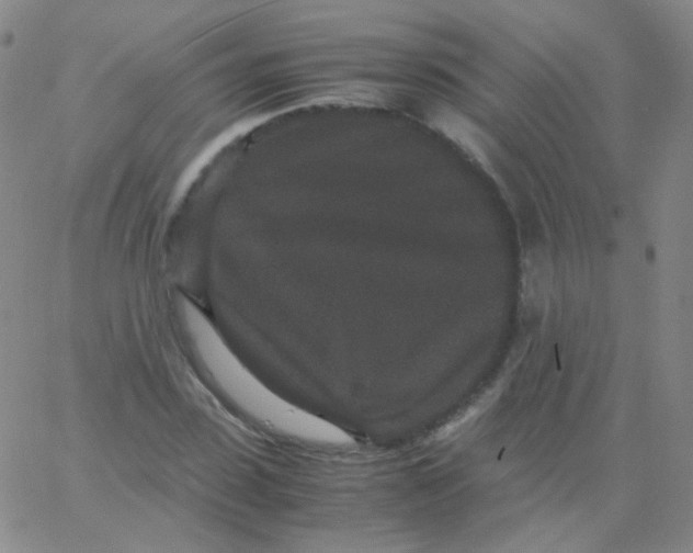 X0000061760923200512231547