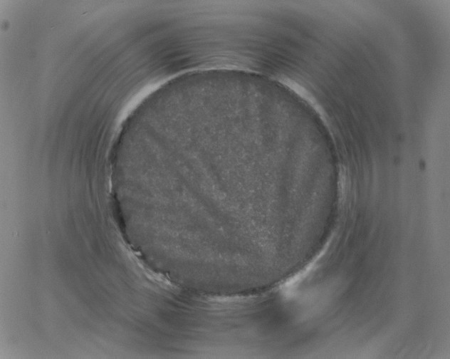 X0000061760925200512231547