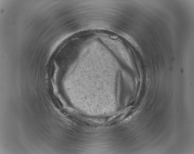 X0000061760926200512231547