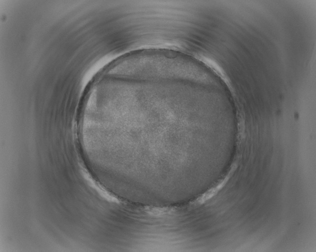 X0000061760928200512231547