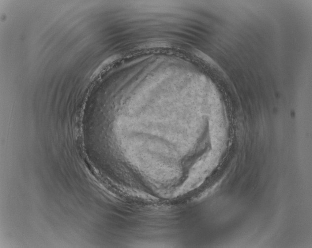 X0000061760929200512231547