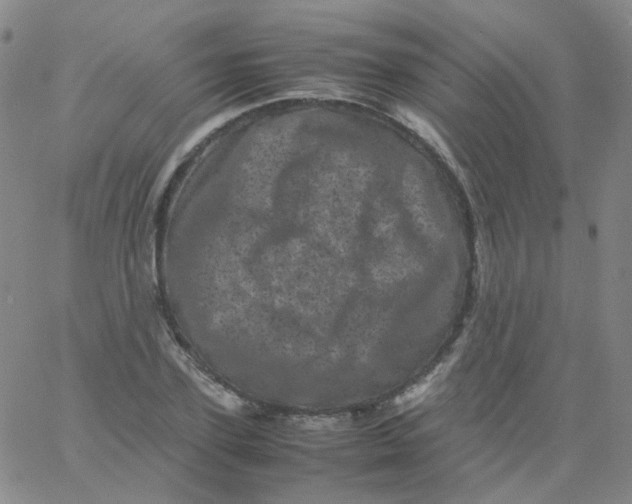 X0000061760931200512231547