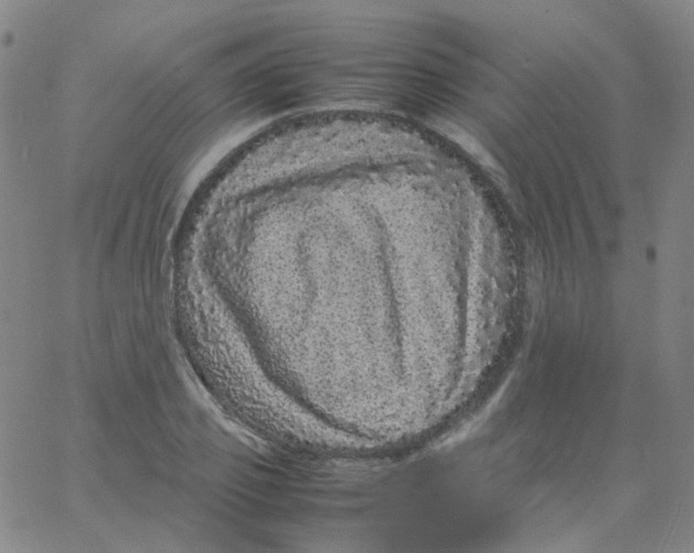 X0000061760933200512231547