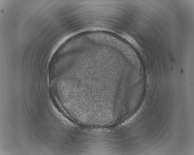 X0000061760934200512231547