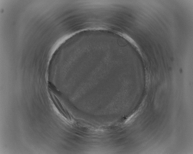 X0000061760935200512231547