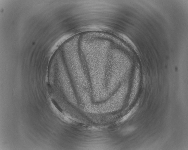 X0000061760938200512231547