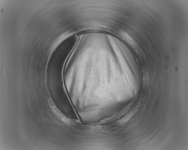 X0000061760940200512231547