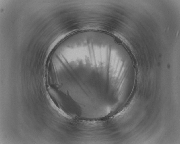 X0000061760941200512231547