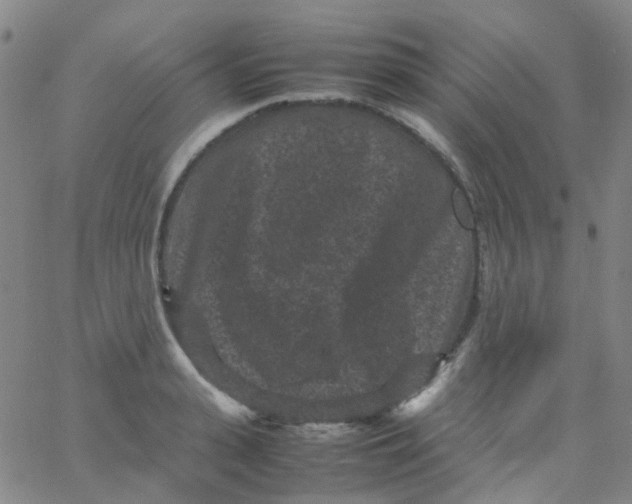 X0000061760943200512231547