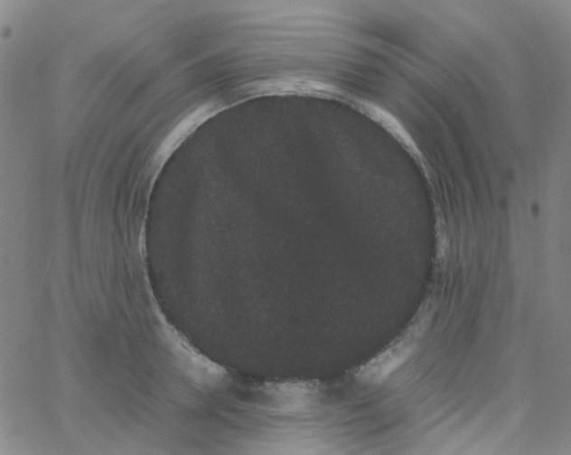 X0000061760946200512231547