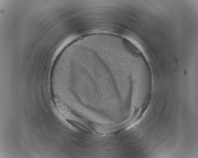 X0000061760949200512231547