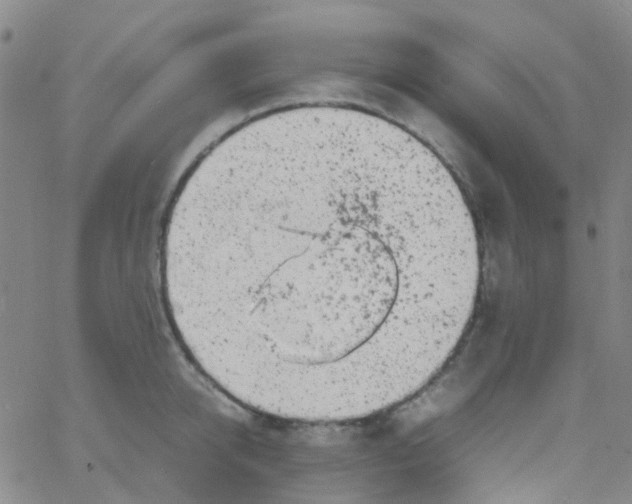 X0000061760950200512231547