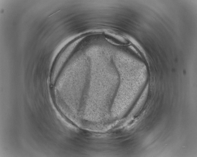 X0000061760951200512231547