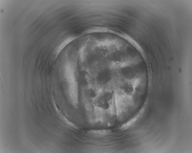 X0000061760953200512231547