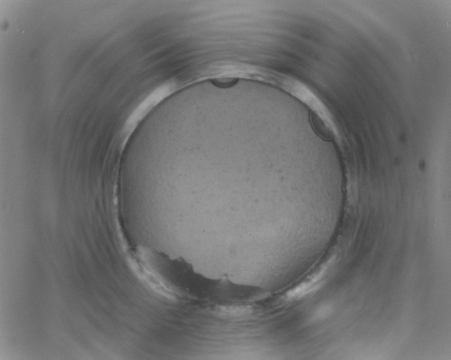 X0000061760954200512231547