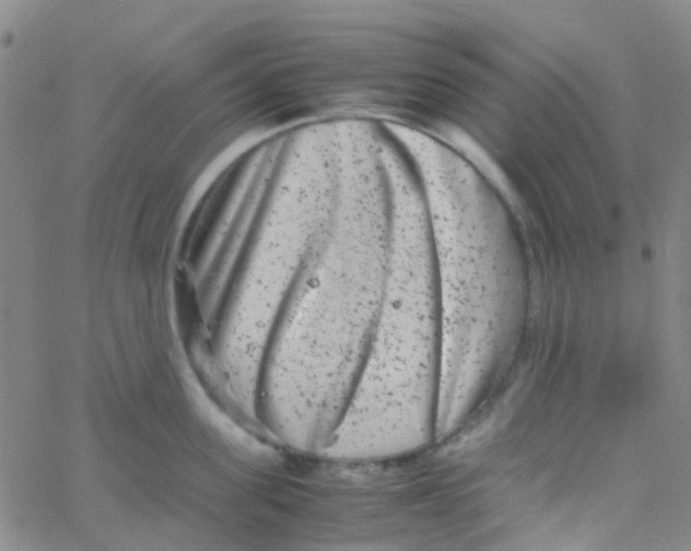 X0000061760955200512231547