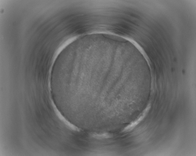 X0000061760957200512231548