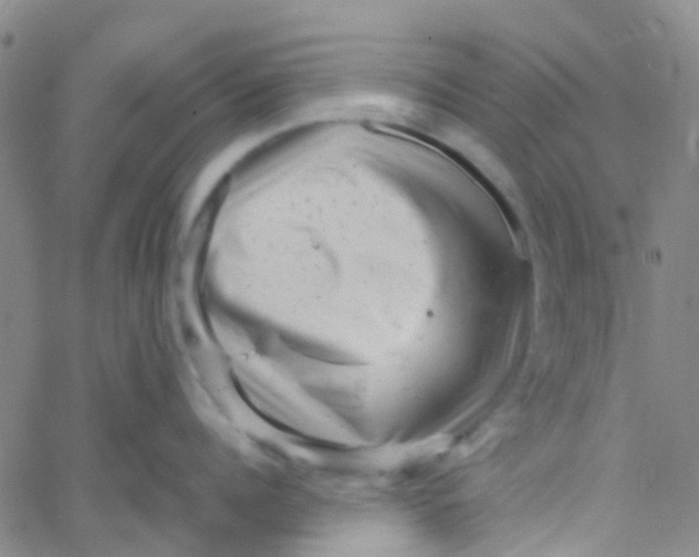 X0000061760960200512231548