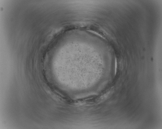 X0000061760961200512231547