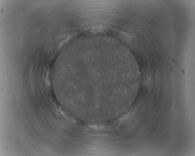 X0000061760962200512231547