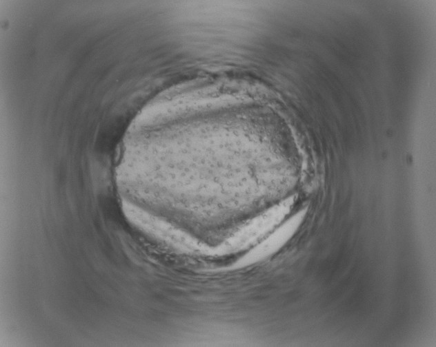 X0000061760963200512231547