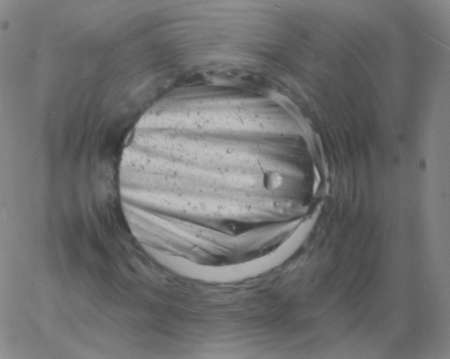 X0000061760964200512231547