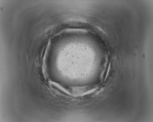 X0000061760965200512231547