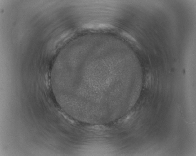 X0000061760966200512231547