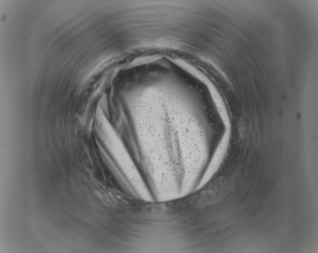 X0000061760968200512231547