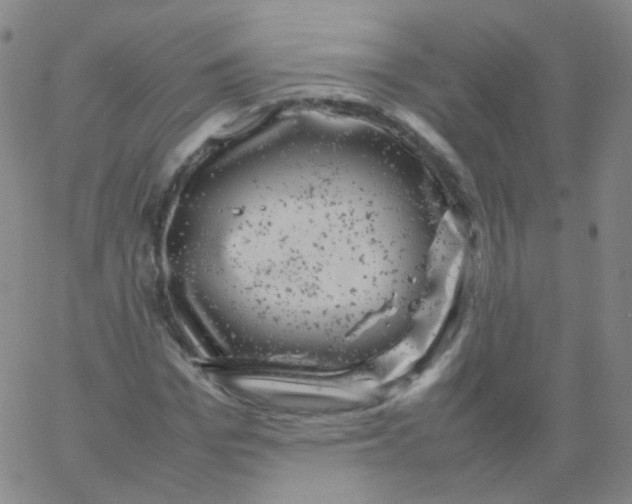 X0000061760969200512231547