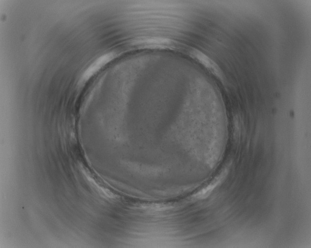 X0000061760970200512231547