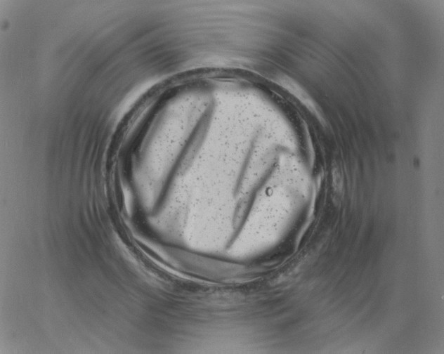 X0000061760972200512231547