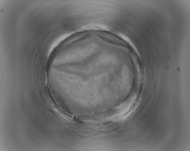 X0000061760973200512231547