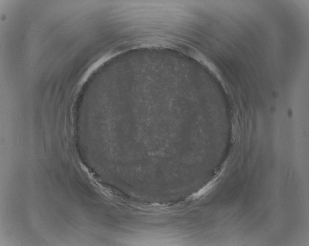 X0000061760975200512231547