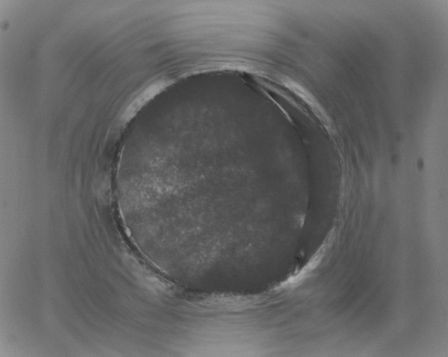 X0000061760977200512231547