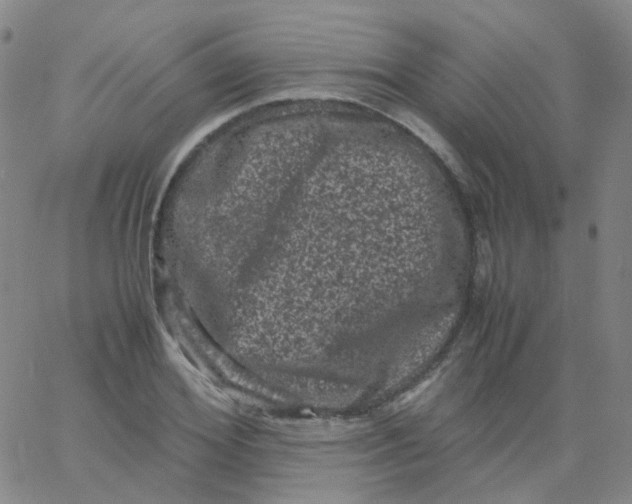 X0000061760980200512231546