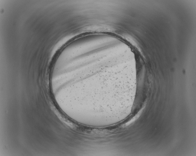 X0000061760981200512231546